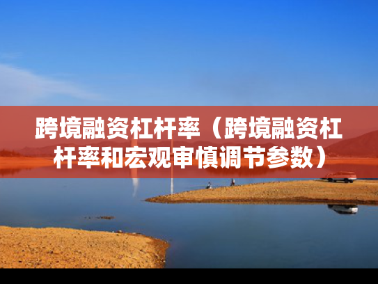 跨境融资杠杆率（跨境融资杠杆率和宏观审慎调节参数）