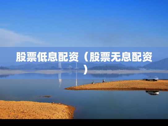 股票低息配资（股票无息配资）