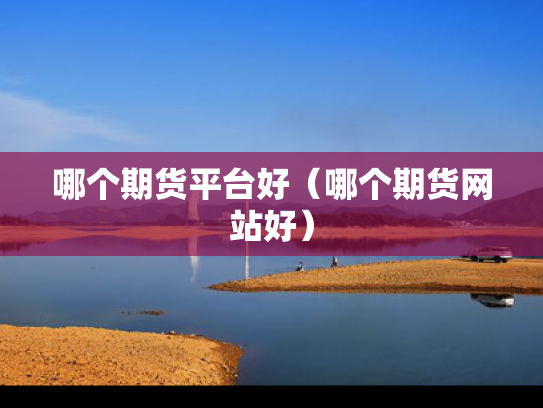 哪个期货平台好（哪个期货网站好）