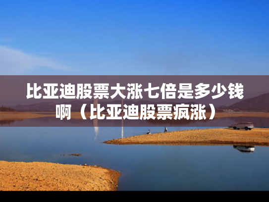 比亚迪股票大涨七倍是多少钱啊（比亚迪股票疯涨）