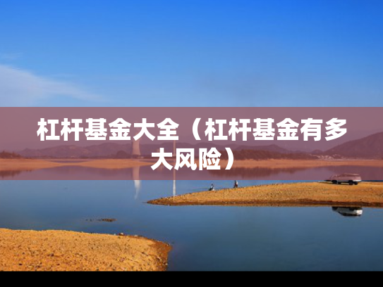 杠杆基金大全（杠杆基金有多大风险）