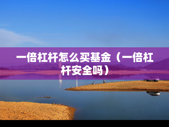 一倍杠杆怎么买基金（一倍杠杆安全吗）