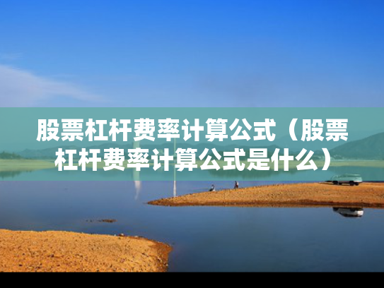 股票杠杆费率计算公式（股票杠杆费率计算公式是什么）