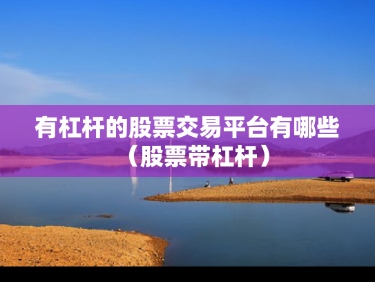 有杠杆的股票交易平台有哪些（股票带杠杆）