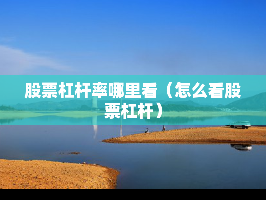 股票杠杆率哪里看（怎么看股票杠杆）
