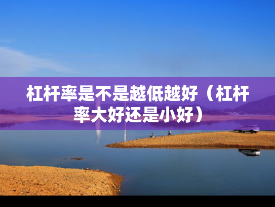 杠杆率是不是越低越好（杠杆率大好还是小好）
