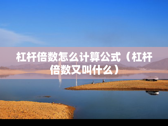 杠杆倍数怎么计算公式（杠杆倍数又叫什么）