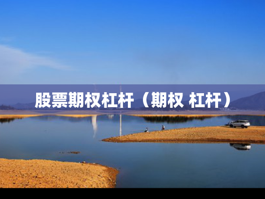 股票期权杠杆（期权 杠杆）