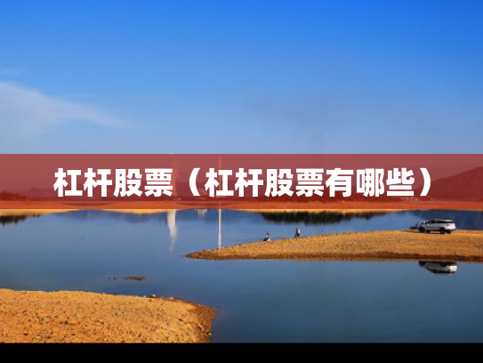 杠杆股票（杠杆股票有哪些）