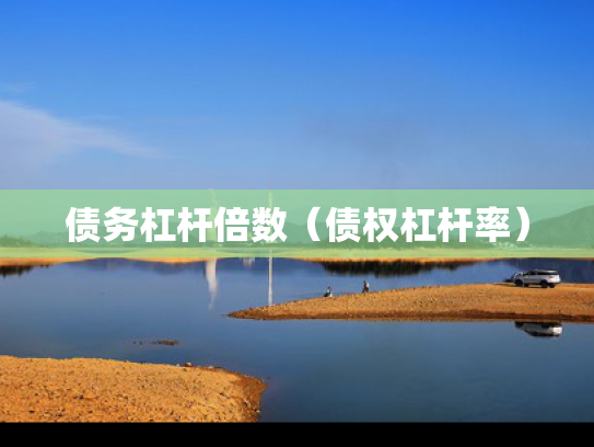债务杠杆倍数（债权杠杆率）