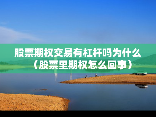 股票期权交易有杠杆吗为什么（股票里期权怎么回事）