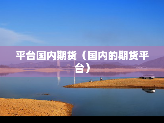 平台国内期货（国内的期货平台）
