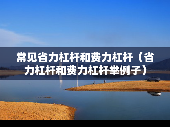常见省力杠杆和费力杠杆（省力杠杆和费力杠杆举例子）