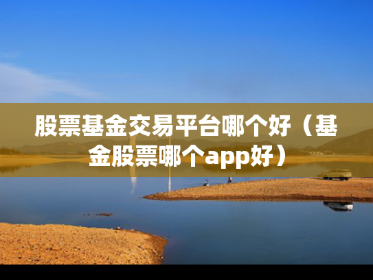 股票基金交易平台哪个好（基金股票哪个app好）
