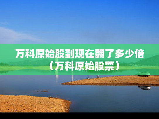 万科原始股到现在翻了多少倍（万科原始股票）