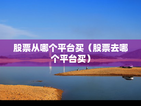 股票从哪个平台买（股票去哪个平台买）