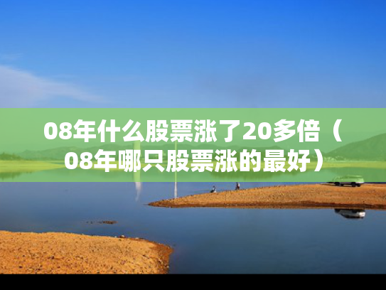 08年什么股票涨了20多倍（08年哪只股票涨的最好）