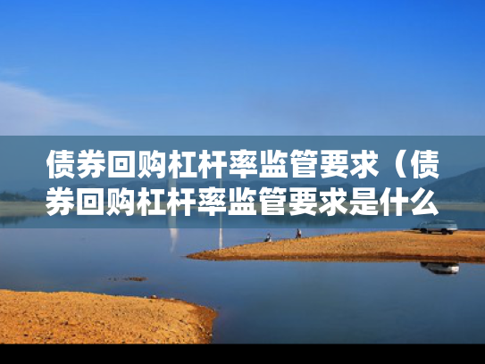 债券回购杠杆率监管要求（债券回购杠杆率监管要求是什么）