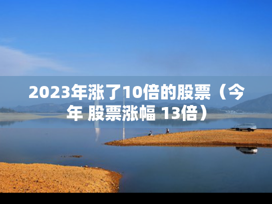 2023年涨了10倍的股票（今年 股票涨幅 13倍）