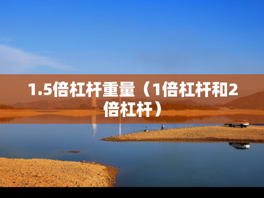 1.5倍杠杆重量（1倍杠杆和2倍杠杆）