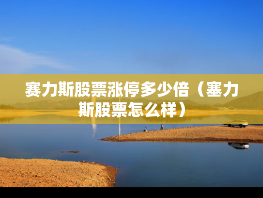 赛力斯股票涨停多少倍（塞力斯股票怎么样）