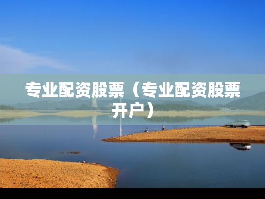 专业配资股票（专业配资股票开户）