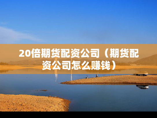 20倍期货配资公司（期货配资公司怎么赚钱）