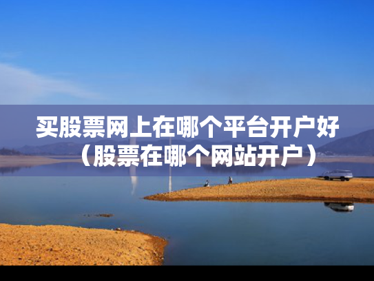 买股票网上在哪个平台开户好（股票在哪个网站开户）