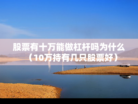 股票有十万能做杠杆吗为什么（10万持有几只股票好）