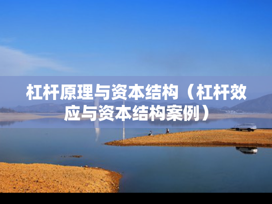 杠杆原理与资本结构（杠杆效应与资本结构案例）