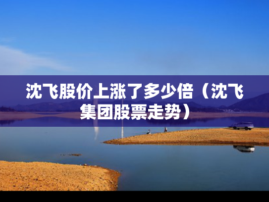 沈飞股价上涨了多少倍（沈飞集团股票走势）