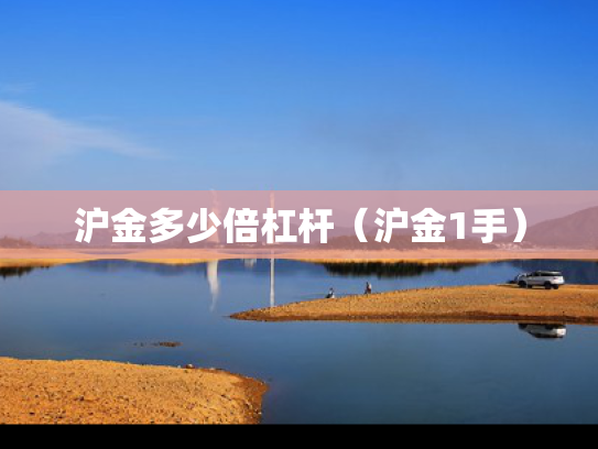 沪金多少倍杠杆（沪金1手）