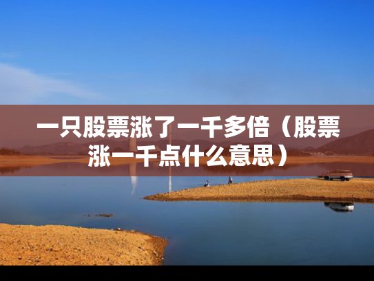一只股票涨了一千多倍（股票涨一千点什么意思）