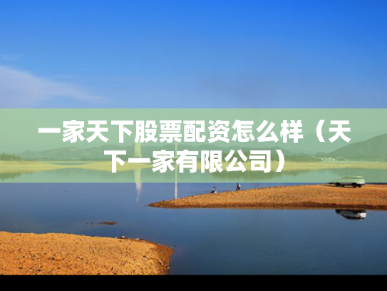 一家天下股票配资怎么样（天下一家有限公司）