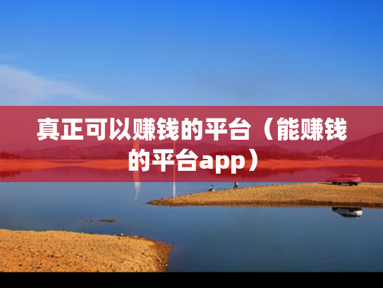 真正可以赚钱的平台（能赚钱的平台app）