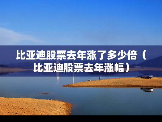 比亚迪股票去年涨了多少倍（比亚迪股票去年涨幅）