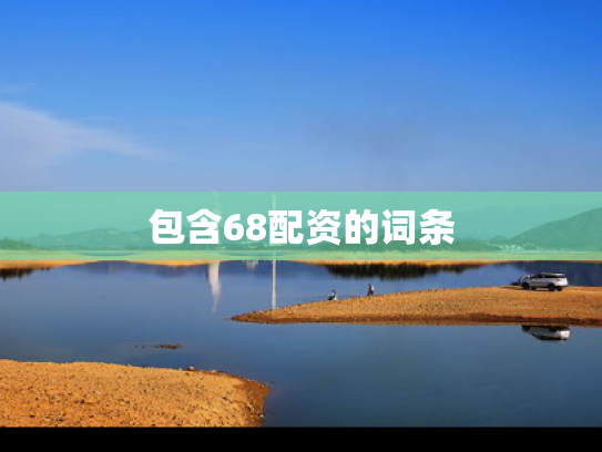 包含68配资的词条