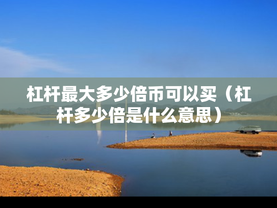 杠杆最大多少倍币可以买（杠杆多少倍是什么意思）
