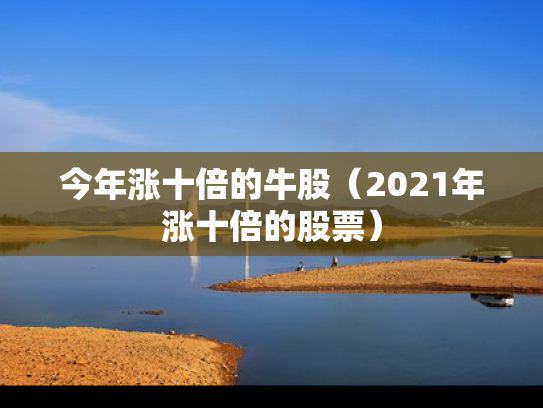 今年涨十倍的牛股（2021年涨十倍的股票）