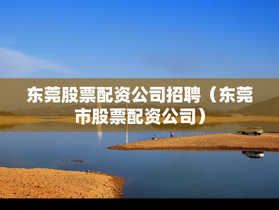 东莞股票配资公司招聘（东莞市股票配资公司）