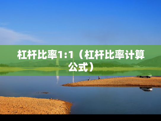 杠杆比率1:1（杠杆比率计算公式）