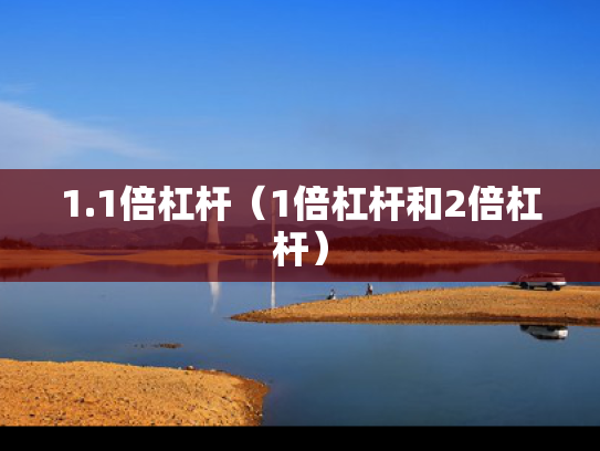 1.1倍杠杆（1倍杠杆和2倍杠杆）