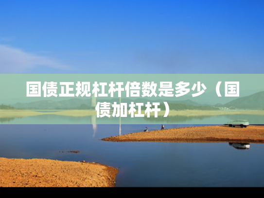 国债正规杠杆倍数是多少（国债加杠杆）