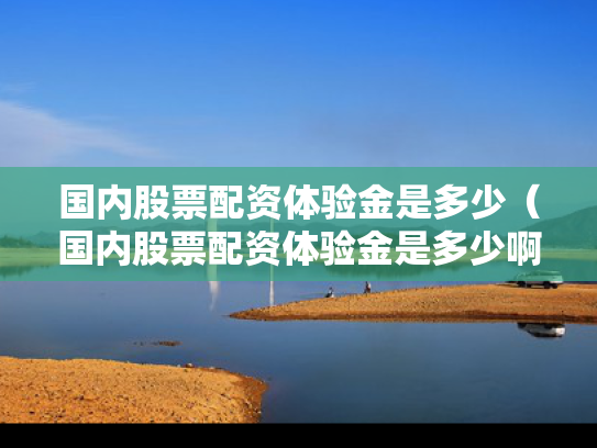 国内股票配资体验金是多少（国内股票配资体验金是多少啊）