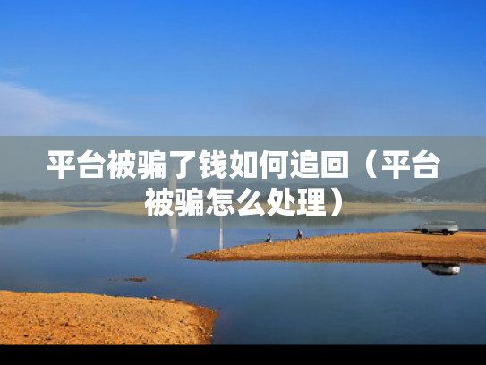 平台被骗了钱如何追回（平台被骗怎么处理）