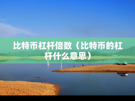 比特币杠杆倍数（比特币的杠杆什么意思）