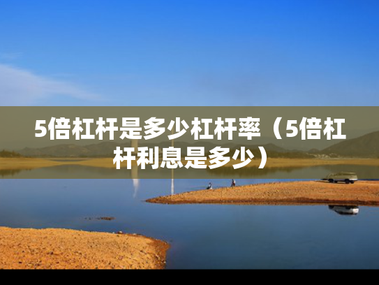 5倍杠杆是多少杠杆率（5倍杠杆利息是多少）
