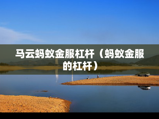 马云蚂蚁金服杠杆（蚂蚁金服的杠杆）