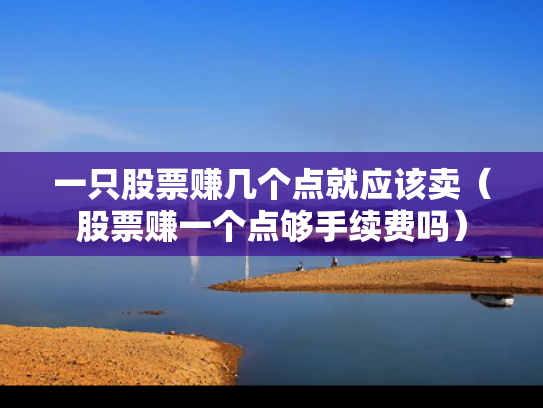 一只股票赚几个点就应该卖（股票赚一个点够手续费吗）