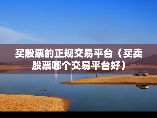 买股票的正规交易平台（买卖股票哪个交易平台好）